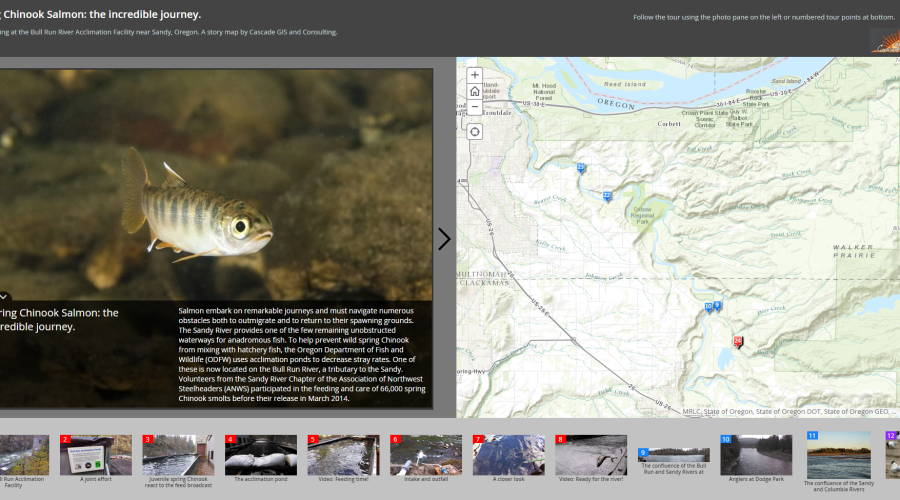 Web Map on Salmonids