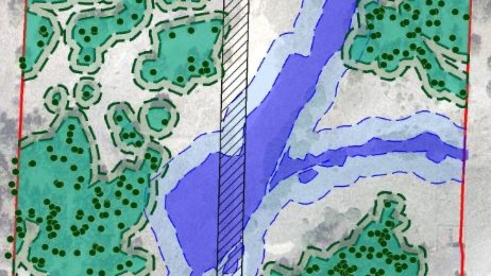 lawson_cropped